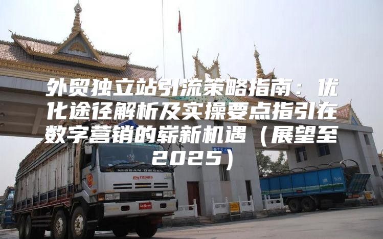 外贸独立站引流策略指南：优化途径解析及实操要点指引在数字营销的崭新机遇展望至2025
