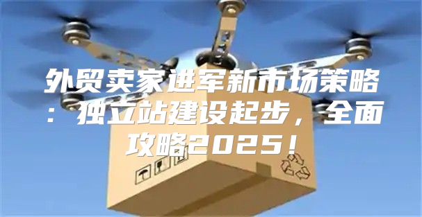 外贸卖家进军新市场策略：独立站建设起步，全面攻略2025！