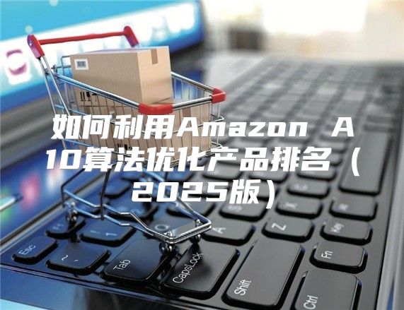 如何利用Amazon A10算法优化产品排名2025版