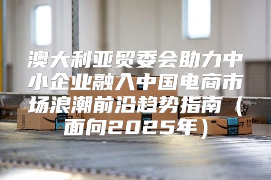 澳大利亚贸委会助力中小企业融入中国电商市场浪潮前沿趋势指南面向2025年