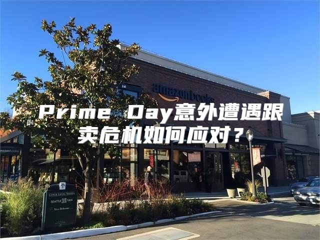 Prime Day意外遭遇跟卖危机如何应对？