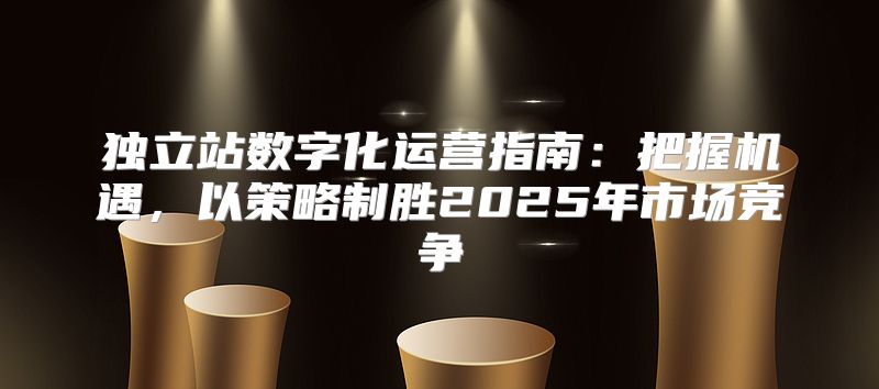 独立站数字化运营指南：把握机遇，以策略制胜2025年市场竞争