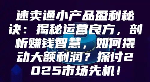 速卖通小产品盈利秘诀：揭秘运营良方，剖析赚钱智慧，如何撬动大额利润？探讨2025市场先机！