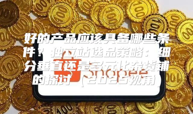好的产品应该具备哪些条件？独立站选品策略：细分垂直还是多元化杂货铺的探讨2025视角