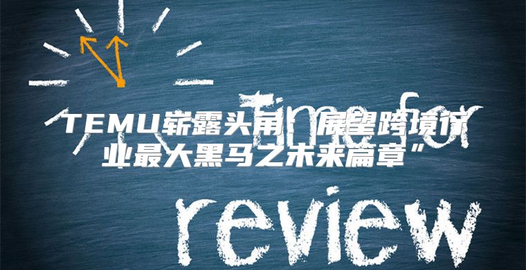 TEMU崭露头角：展望跨境行业最大黑马之未来篇章”