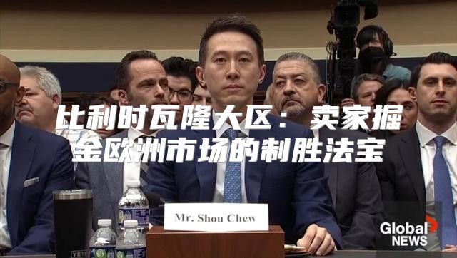 比利时瓦隆大区：卖家掘金欧洲市场的制胜法宝