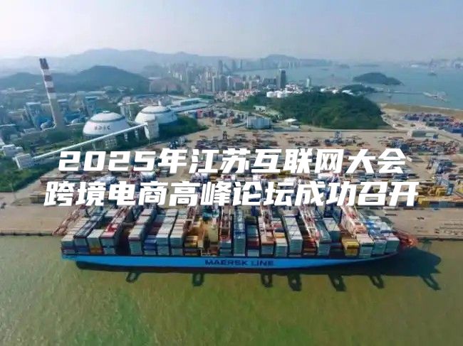 2025年江苏互联网大会跨境电商高峰论坛成功召开
