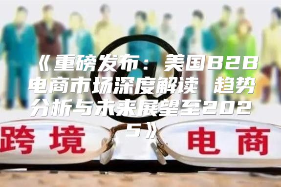 重磅发布：美国B2B电商市场深度解读趋势分析与未来展望至2025