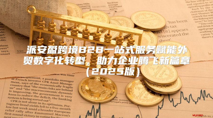 派安盈跨境B2B一站式服务赋能外贸数字化转型，助力企业腾飞新篇章2025版
