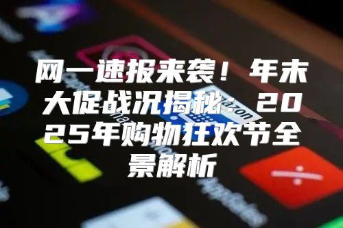 网一速报来袭！年末大促战况揭秘：2025年购物狂欢节全景解析