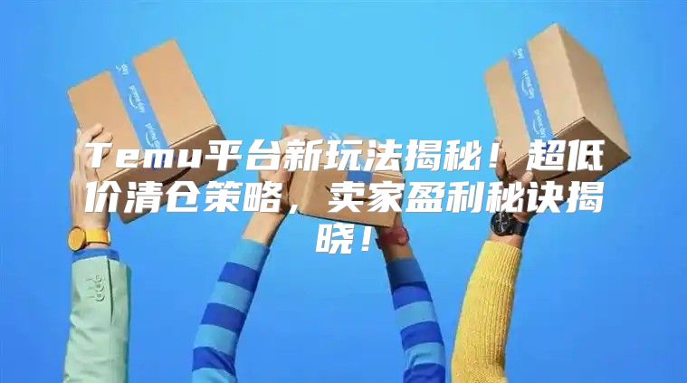 Temu平台新玩法揭秘！超低价清仓策略，卖家盈利秘诀揭晓！