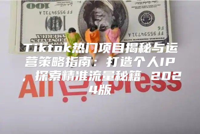 Tiktok热门项目揭秘与运营策略指南：打造个人IP，探索精准流量秘籍 2025版