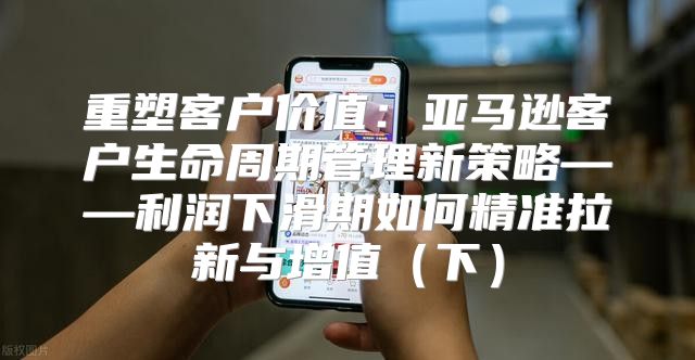 重塑客户价值：亚马逊客户生命周期管理新策略——利润下滑期如何精准拉新与增值下