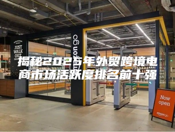 揭秘2025年外贸跨境电商市场活跃度排名前十强