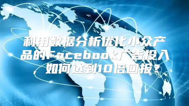 利用数据分析优化小众产品的Facebook广告投入，如何达到10倍回报？