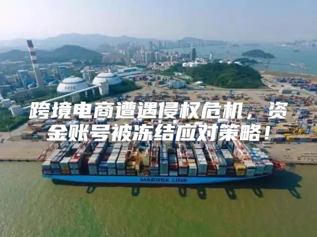 跨境电商遭遇侵权危机，资金账号被冻结应对策略！