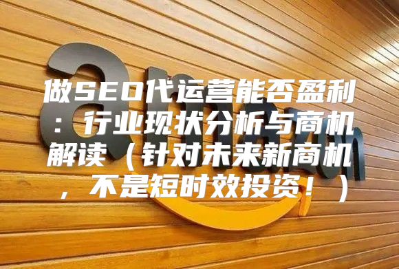 做SEO代运营能否盈利：行业现状分析与商机解读针对未来新商机，不是短时效投资！