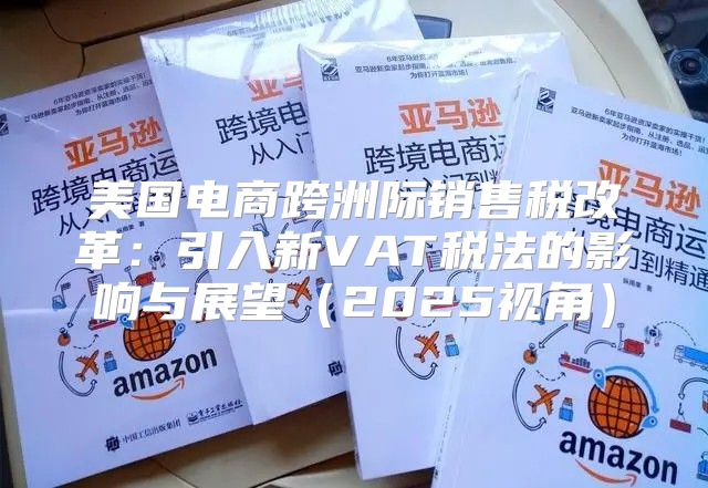 美国电商跨洲际销售税改革：引入新VAT税法的影响与展望2025视角