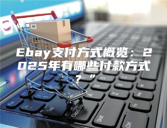 Ebay支付方式概览：2025年有哪些付款方式？”