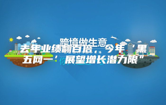 去年业绩翻百倍，今年‘黑五网一’展望增长潜力限”