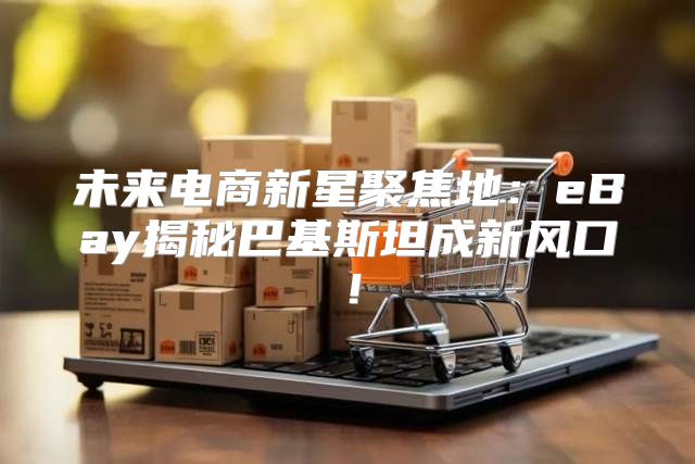 未来电商新星聚焦地：eBay揭秘巴基斯坦成新风口！