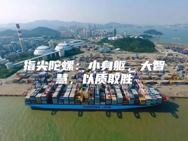 指尖陀螺：小身躯，大智慧，以质取胜
