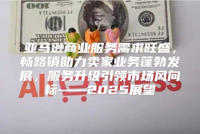 亚马逊商业服务需求旺盛，畅路销助力卖家业务蓬勃发展，服务升级引领市场风向标——2025展望