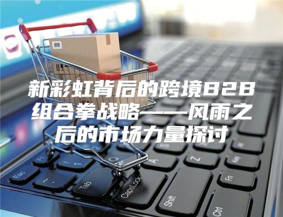 新彩虹背后的跨境B2B组合拳战略——风雨之后的市场力量探讨