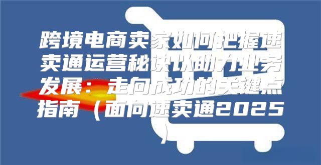 跨境电商卖家如何把握速卖通运营秘诀以助力业务发展：走向成功的关键点指南面向速卖通2025