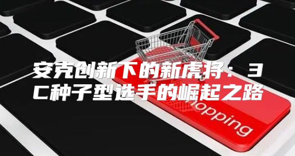 安克创新下的新虎将：3C种子型选手的崛起之路