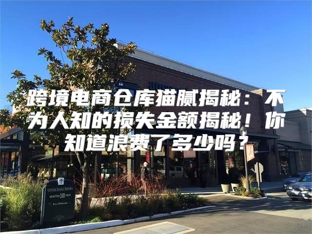 跨境电商仓库猫腻揭秘：不为人知的损失金额揭秘！你知道浪费了多少吗？