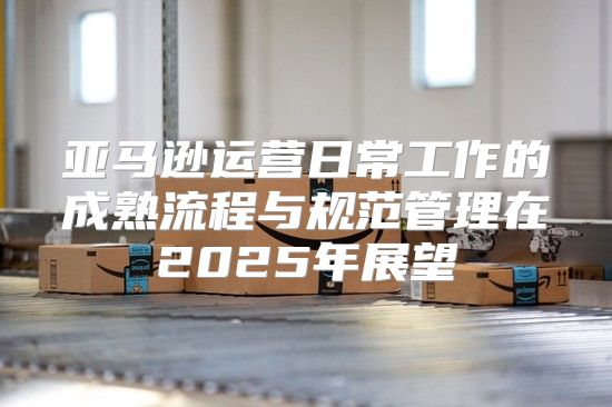 亚马逊运营日常工作的成熟流程与规范管理在2025年展望