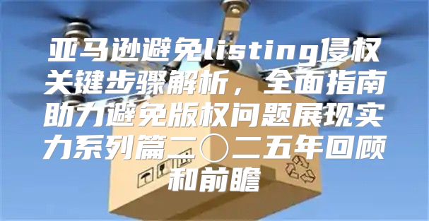 亚马逊避免listing侵权关键步骤解析，全面指南助力避免版权问题展现实力系列篇二〇二五年回顾和前瞻