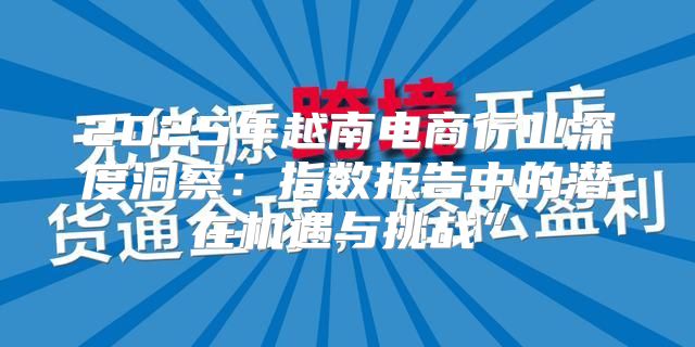2025年越南电商行业深度洞察：指数报告中的潜在机遇与挑战”
