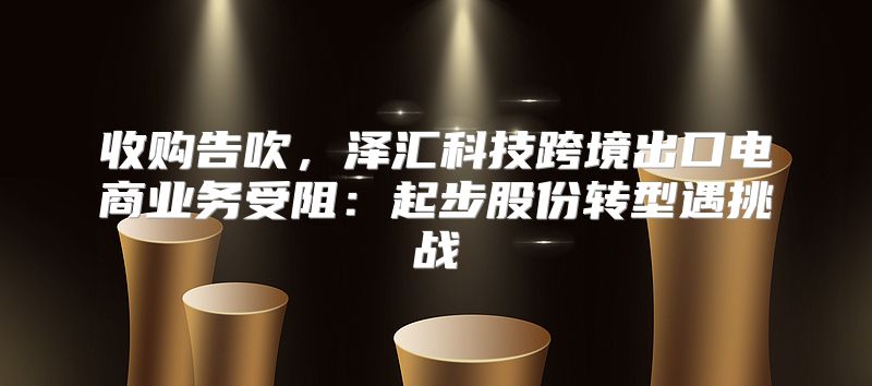 收购告吹，泽汇科技跨境出口电商业务受阻：起步股份转型遇挑战