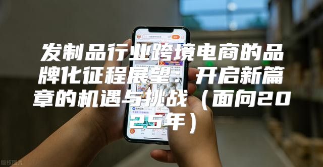 发制品行业跨境电商的品牌化征程展望：开启新篇章的机遇与挑战面向2025年