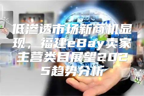 低渗透市场新商机显现，福建eBay卖家主营类目展望2025趋势分析