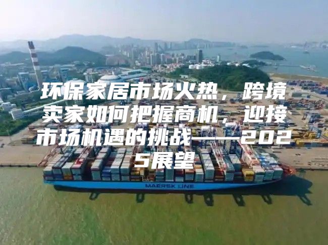 环保家居市场火热，跨境卖家如何把握商机，迎接市场机遇的挑战——2025展望