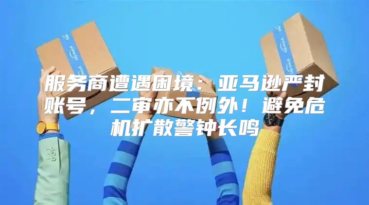 服务商遭遇困境：亚马逊严封账号，二审亦不例外！避免危机扩散警钟长鸣