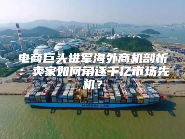 电商巨头进军海外商机剖析：卖家如何角逐千亿市场先机？