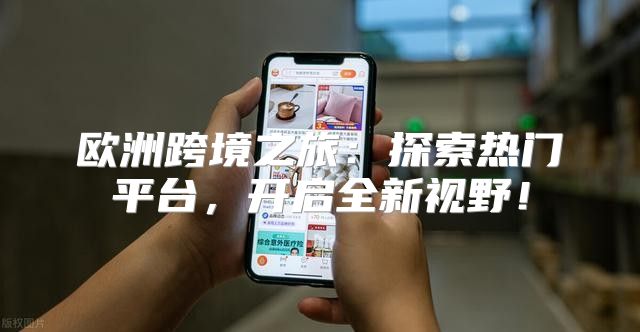 欧洲跨境之旅：探索热门平台，开启全新视野！