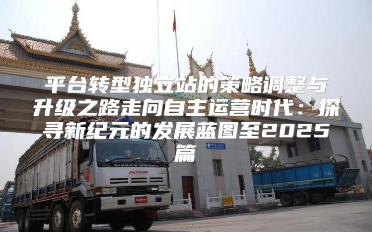 平台转型独立站的策略调整与升级之路走向自主运营时代：探寻新纪元的发展蓝图至2025篇