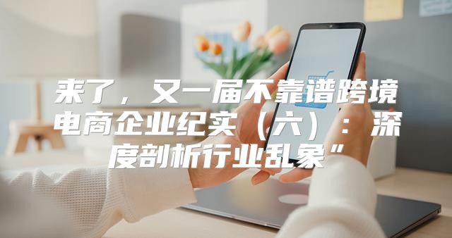 来了，又一届不靠谱跨境电商企业纪实六：深度剖析行业乱象”