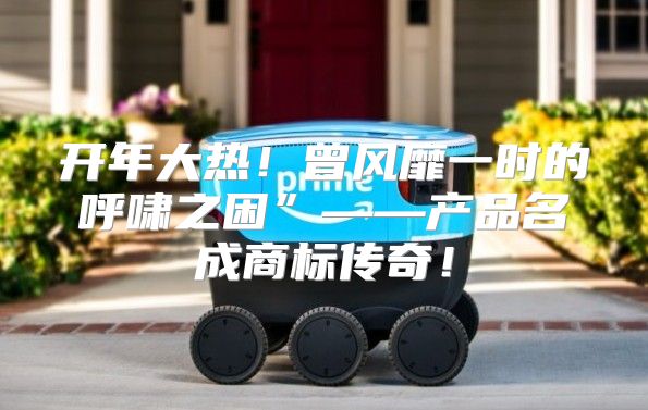 开年大热！曾风靡一时的呼啸之困”——产品名成商标传奇！