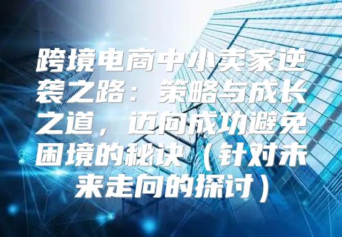 跨境电商中小卖家逆袭之路：策略与成长之道，迈向成功避免困境的秘诀针对未来走向的探讨