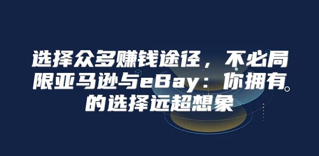 选择众多赚钱途径，不必局限亚马逊与eBay：你拥有的选择远超想象