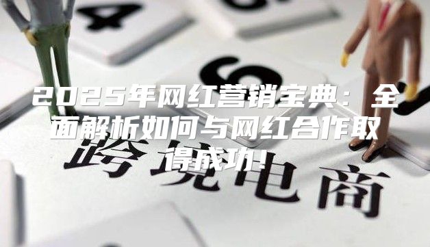 2025年网红营销宝典：全面解析如何与网红合作取得成功！