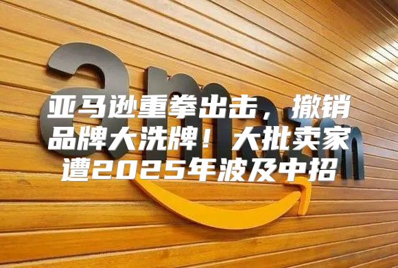 亚马逊重拳出击，撤销品牌大洗牌！大批卖家遭2025年波及中招