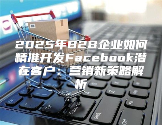 2025年B2B企业如何精准开发Facebook潜在客户：营销新策略解析