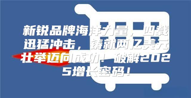 新锐品牌海洋力量，四载迅猛冲击，铸就两亿美元壮举迈向成功！破解2025增长密码！